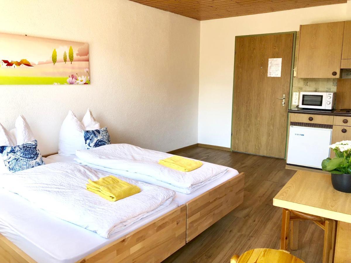 Central Beauty Scenery Apartment Interlaken Extérieur photo