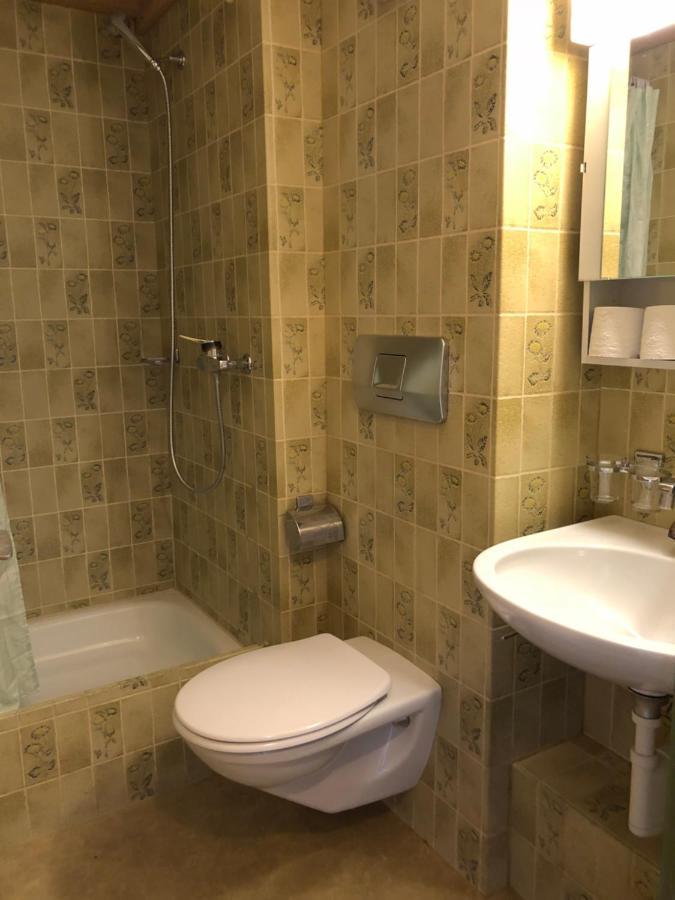 Central Beauty Scenery Apartment Interlaken Extérieur photo