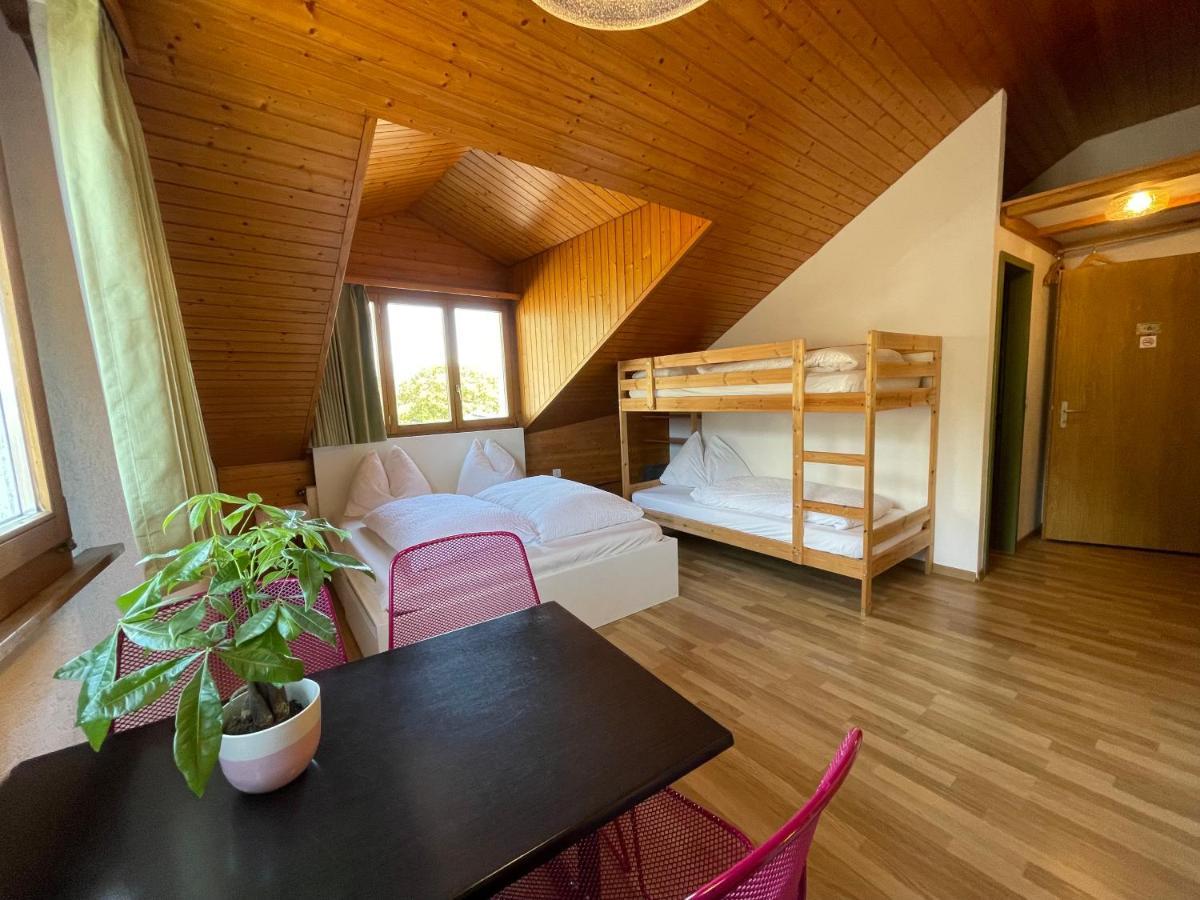 Central Beauty Scenery Apartment Interlaken Extérieur photo