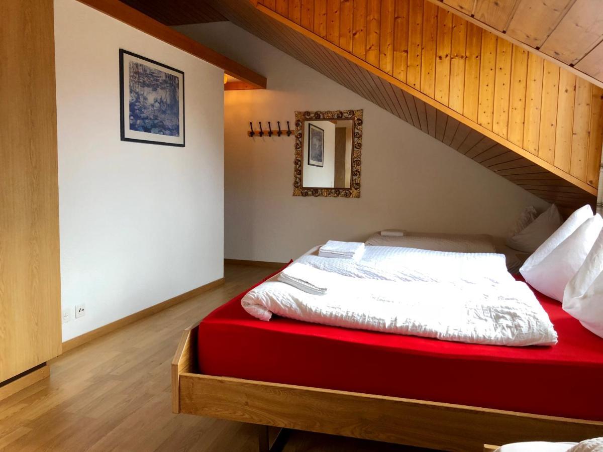 Central Beauty Scenery Apartment Interlaken Extérieur photo